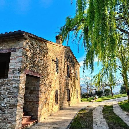 B&B Nel Vigneto Castelplanio Exterior foto